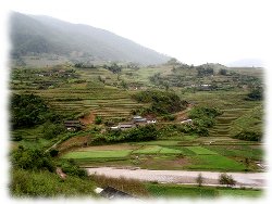 Hills and terraces and river