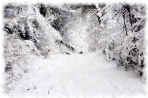 World of White - winter snow